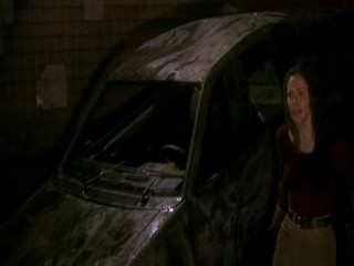 Daylight (wet scene 2)