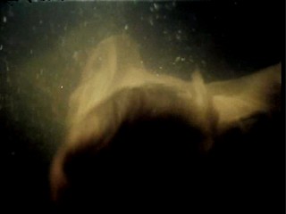 Operation Kooperation