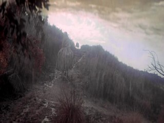 The Taming of the Shrew