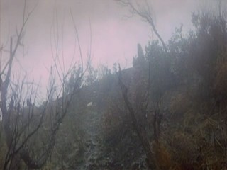 The Taming of the Shrew