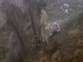 The Taming of the Shrew