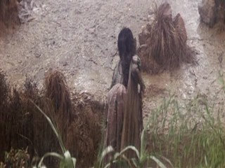 The Taming of the Shrew