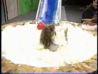 Phil of the Future and WWYD