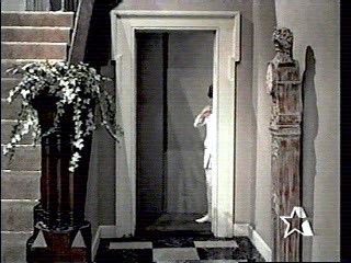 The Girl from U.N.C.L.E.