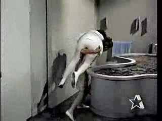 The Girl from U.N.C.L.E.