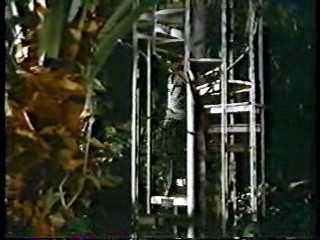 The Monitors,  Swamp Buggy Queen Dunking