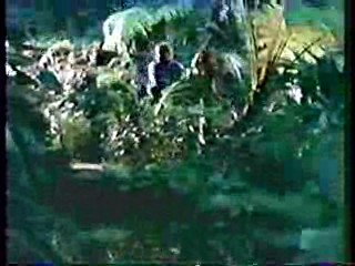 The Monitors,  Swamp Buggy Queen Dunking