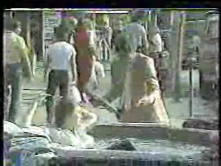 Anything For Money,  Bring 'Em Back Alive