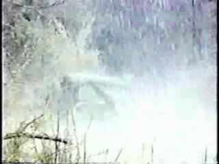 Anything For Money,  Bring 'Em Back Alive