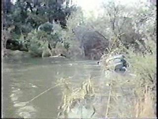 Anything For Money,  Bring 'Em Back Alive