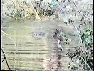 Anything For Money,  Bring 'Em Back Alive