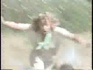 The Three Stooges,  Anything For Money,  The Diamond Mercenaries,  True Stories