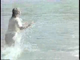 The Three Stooges,  Anything For Money,  The Diamond Mercenaries,  True Stories