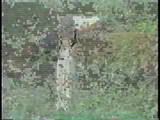 The Three Stooges,  Anything For Money,  The Diamond Mercenaries,  True Stories