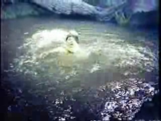 Don't Come Around Here No More,  Laugh In,  Rock-a-Bye Baby ,  Laugh In