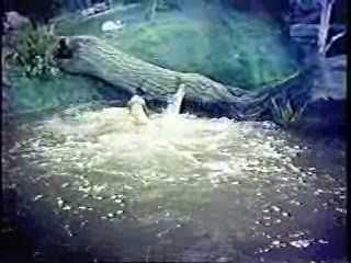 Don't Come Around Here No More,  Laugh In,  Rock-a-Bye Baby ,  Laugh In