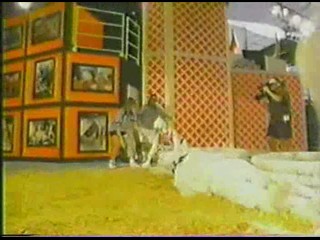 Family Challenge Chicken