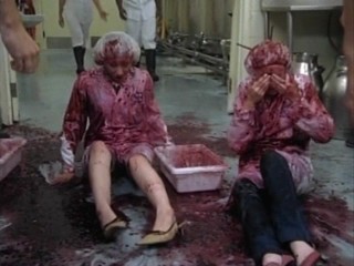 Cow Belles - Aly & AJ