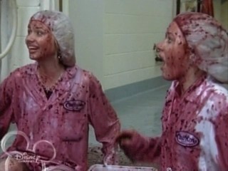 Cow Belles - Aly & AJ