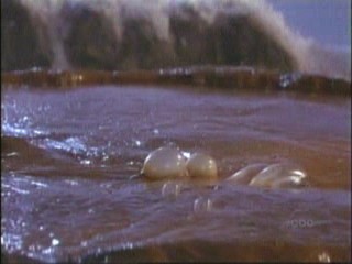 101 Dalmatians (1996)