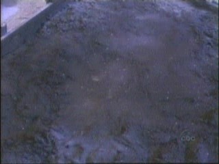 101 Dalmatians (1996)