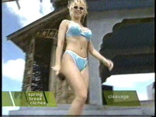 MTV's Springer Break