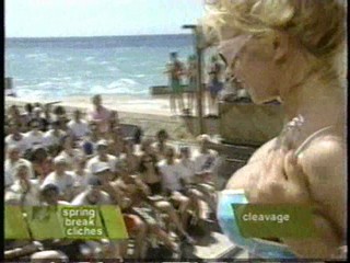 MTV's Springer Break