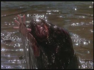 Creepshow 2