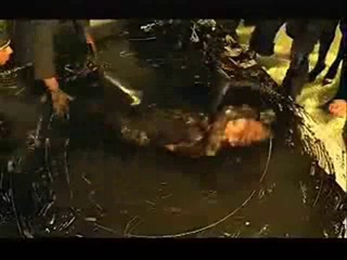 Christina Milian - Dip it low