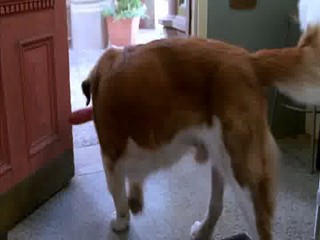 Beethoven's Big Break