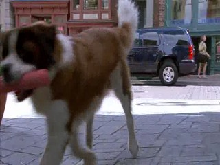 Beethoven's Big Break