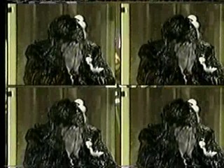 A que no te Atreves 2