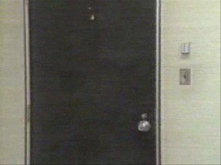 Sabado Gigante; Hot Shots