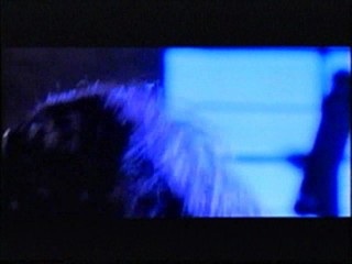 Splash Dance & Desert