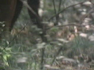 Alice in Wonderland (1976)