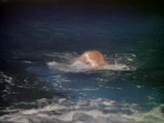 Million Dollar Mermaid 2