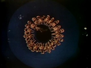 Million Dollar Mermaid 3