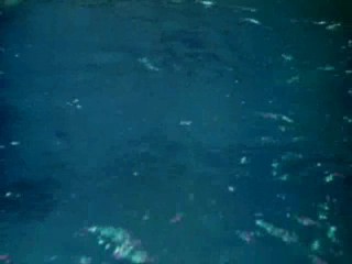 Million Dollar Mermaid 3